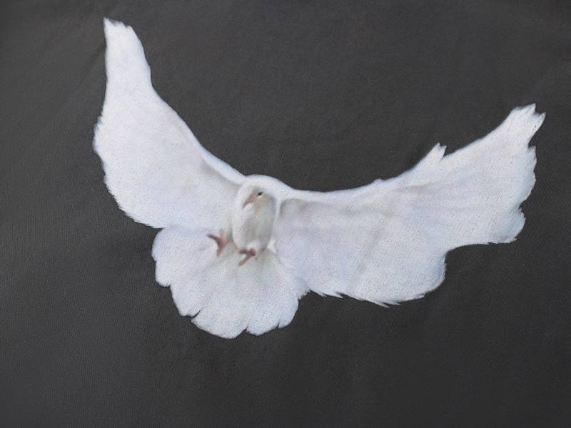 Heavenly Wings Bubble Hoodie